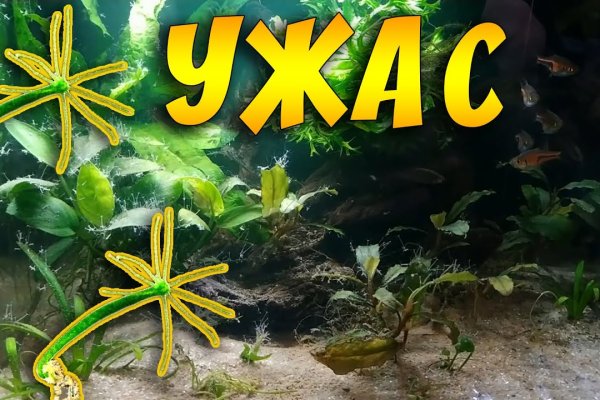Кракен наркомаркет