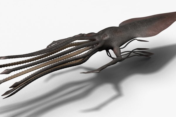 Kraken даркнет что это