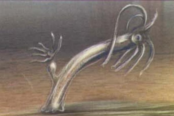 Kra46.cc