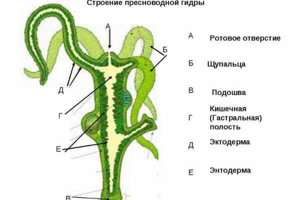 Блэкспрут зеркало кракен