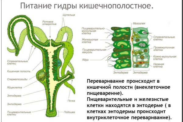 Kra39.at Вход на сайт главная страница