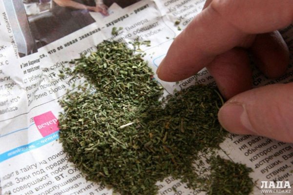 Кракен маркетплейс что там продают