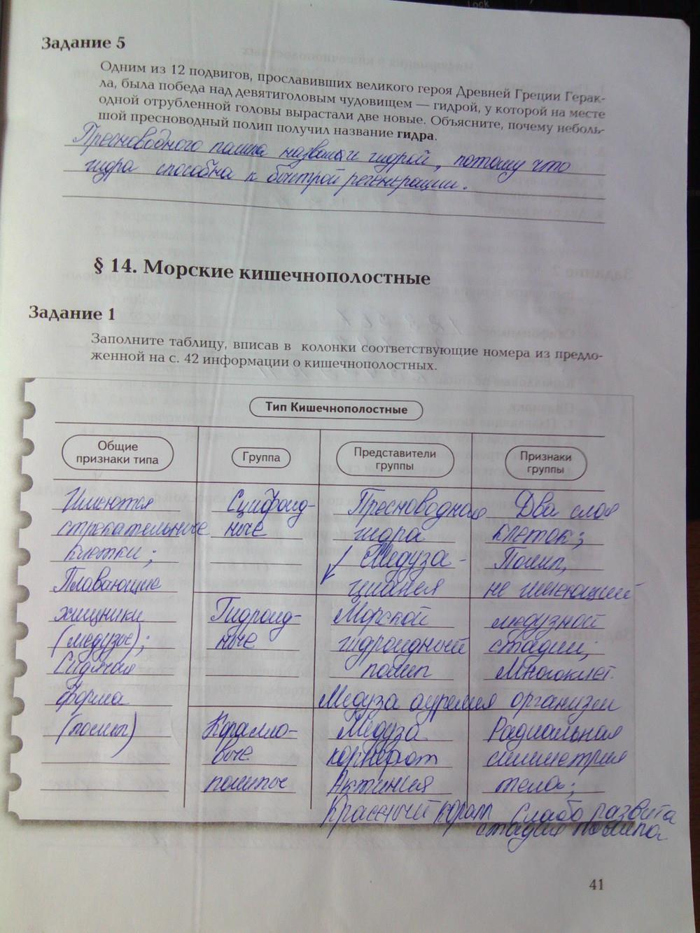 Что такое кракен маркет